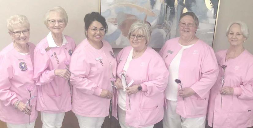 PINK LADIES ELECT OFFICERS— The Ochiltree General Hospital Auxilliary elected new officers at their meeting at the Senior Citizens Center on April 1. Pictured are, from left, treasurer Janell Cochran, secretary Kathy Allred, third vice president Susie Estrada, second vice president Kay Turner, first vice president Sharon Jenkins, and president Ethel Rudd.