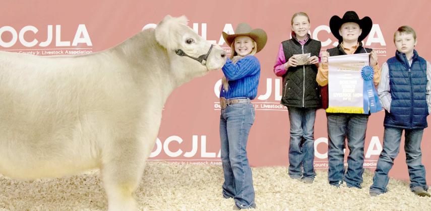 RESERVE GRAND CHAMPION STEER—At the Ochiltree County Junior Livestock Show and Sale , Lakyn Boxwell took home the award for Reserve Grand Champion Steer. Her animal was purchased by Boxwell Brothers Funeral Home. Pictured are, from left, Lakyn Boxwell, Victoria Wright, Teaghan Morgan, and Tallen Morgan. (Photo credit: Tessa Powell)
