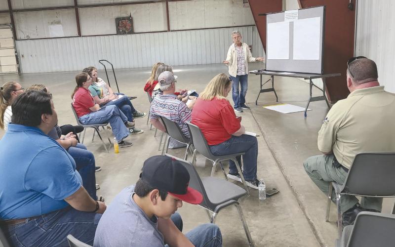 Ochiltree County residents gathered recently at the Expo Center to hold a Texas Community Futures Forum, sponsored by Texas AgriLife Extension Service. The purpose of the Futures Forum is to compile lists of what local residents believe are the most important issues facing their communities. Pictured is the group considering issues in Youth Development, moderated by Ruth Ann Splan.
