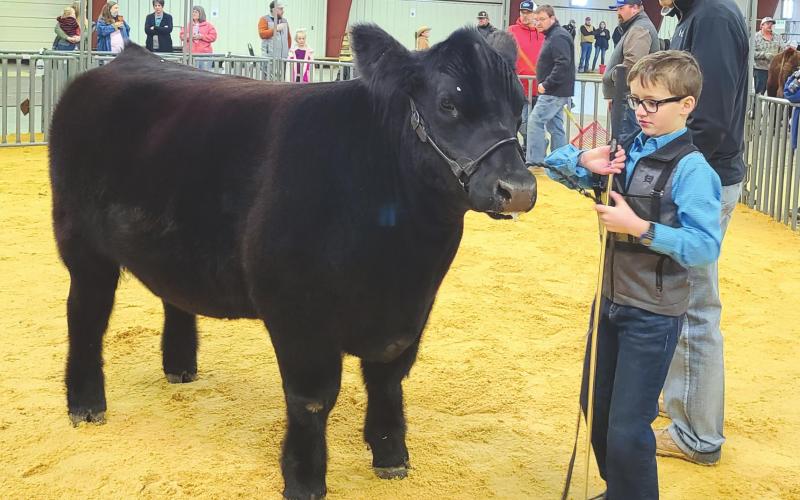 STOCK SHOW OPENS AT EXPO