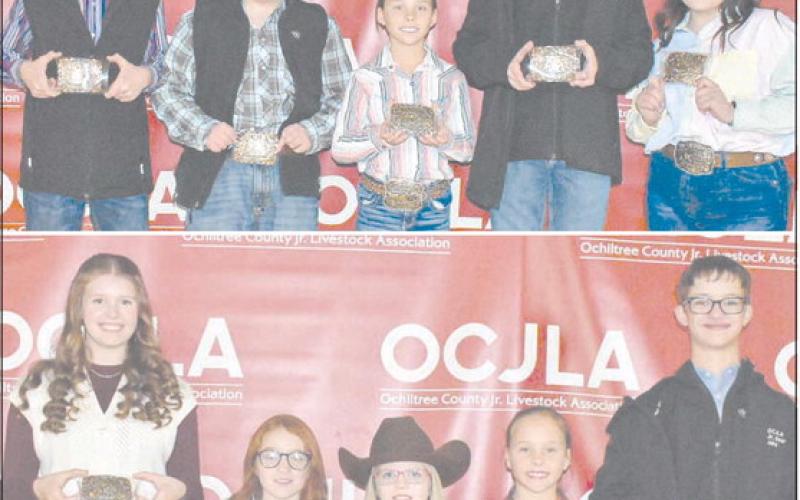 TOP WINNERS AT LIVESTOCK SHOW