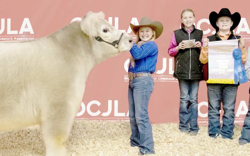 RESERVE GRAND CHAMPION STEER—At the Ochiltree County Junior Livestock Show and Sale , Lakyn Boxwell took home the award for Reserve Grand Champion Steer. Her animal was purchased by Boxwell Brothers Funeral Home. Pictured are, from left, Lakyn Boxwell, Victoria Wright, Teaghan Morgan, and Tallen Morgan. (Photo credit: Tessa Powell)