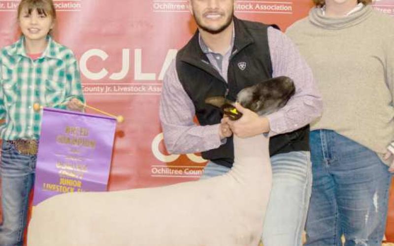 GRAND CHAMPION SHEEP—At the Ochiltree County Junior Livestock Show and Sale on Jan. 19- 20, the prize for Grand Champion Sheep went to Dalton L’Esperance. His animal was bought by Sid and Stacey Tanner. Pictured are, from left, Chloe Richardson, Dalton L’Esperance, and Stacey Tanner. (Photo credit: Tessa Powell)