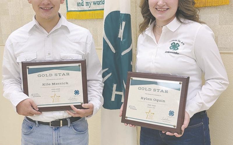 GOLD STAR AWARD WINNERS