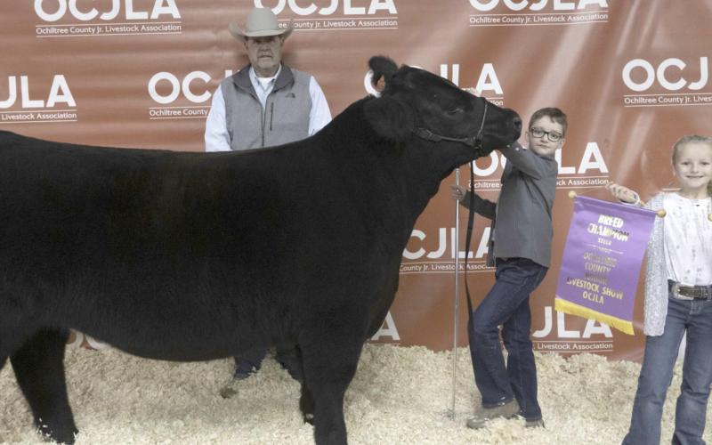 RESERVE GRAND CHAMPION STEER
