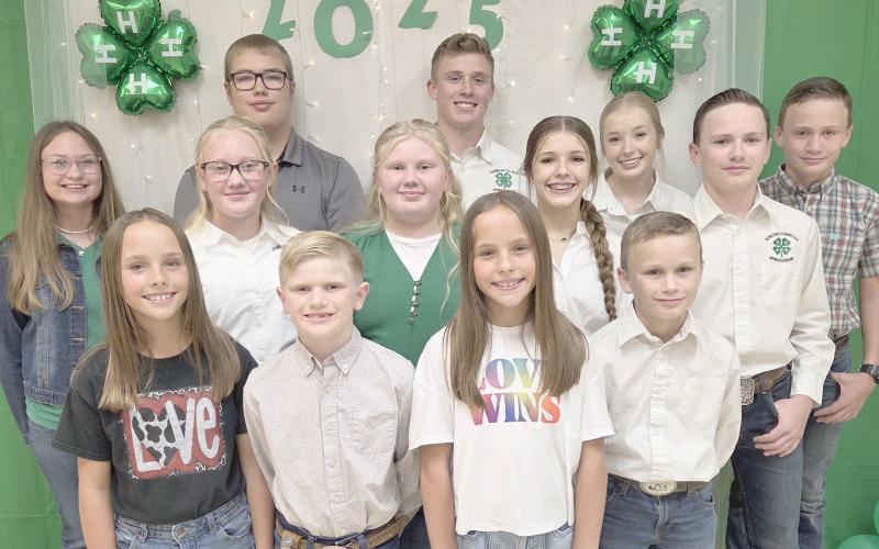 Erickson chosen as Young Careerist