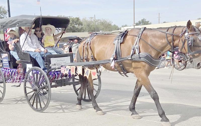 The annual Wheatheart of the Nation Celebration parade on Saturday, Aug. 22, brought folks from all over Perryton and Ochiltree County for the fun and festivities. The prize for the best Live Animal entry in the parade went to Jines Ranch.