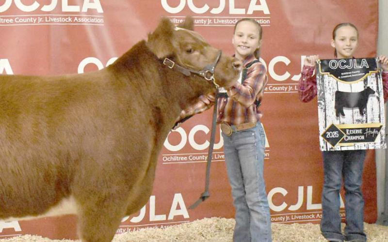 At the Ochiltree County Junior Livestock Show and Sale on Jan. 17-18, the prize for Reserve Grand Champion Heifer went to Izzy Heck. Pictured are, from left, Izzy Heck and Gabby Heck. ( Photo credit: Morgan Dudley)
