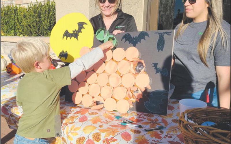 PUMPKINS FOR PRIZES