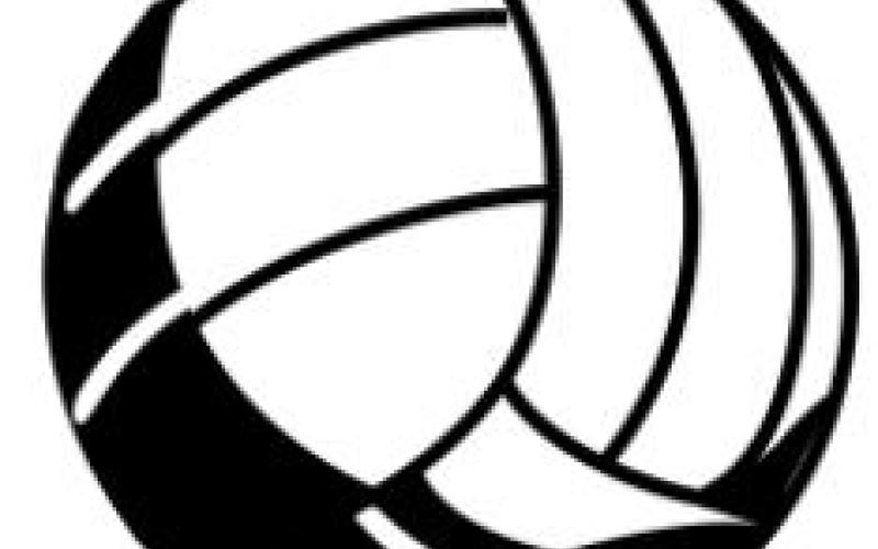 Rettes cage Lady Tigers
