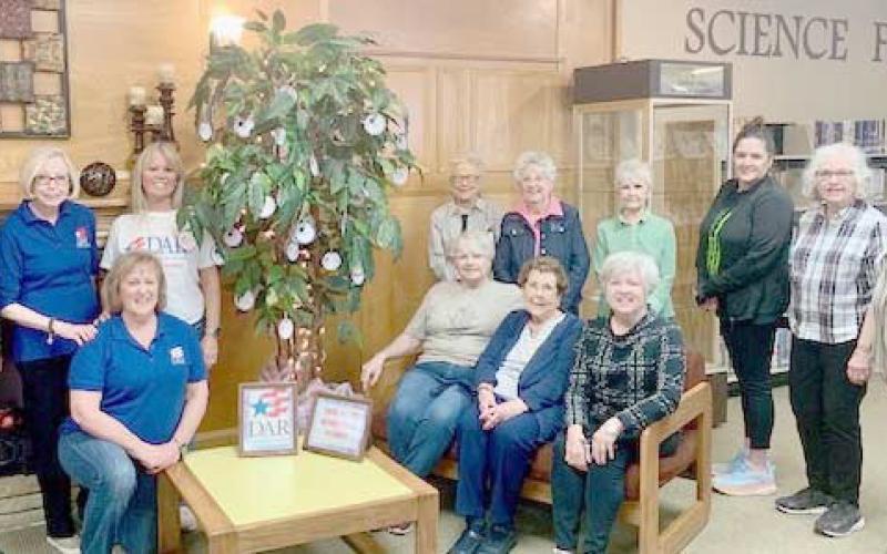 Wolf Creek NSDAR creates Patriot Tree