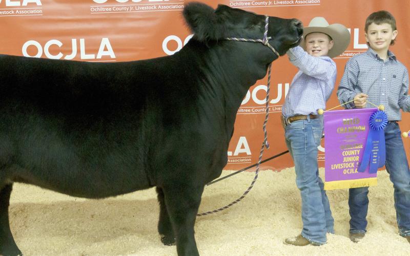 GRAND CHAMPION HEIFER— At the Ochiltree County Junior Livestock Show and Sale on Jan. 20-21, Teaghan Morgan took home the award for Grand Champion Heifer. Pictured are, from left, Teaghan Morgan and McCoy Barnett. ( Photo credit: Brittany Morgan)