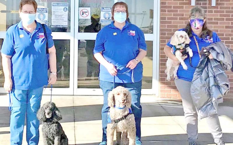 Therapy dog teams visit area hospital