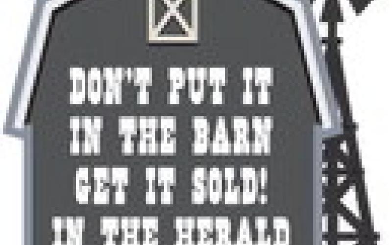 Alt Text for Image
