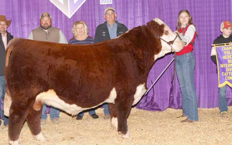 LITTAU BULL BRINGS HOME CHAMPIONSHIP- Halle Littau of Balko exhibited a bull at the Cattlemen’s Congress in Oklahoma City in January. Her bull won its class and was crowned the Champion Polled Hereford Bull in the Intermediate Division. Littau raised the bull and exhibited on behalf of Littau Polled Herefords in Balko.
