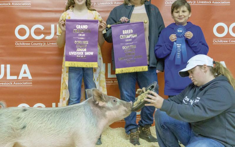 GRAND CHAMPION SWINE— At the Ochiltree County Junior Livestock Show and Sale on Jan. 20-21, Caydee Butler took home the award for Grand Champion Swine. Her animal was purchased by Duvall Farms. Pictured are, from left, Caydee Butler, Cindy Duvall, Graham Duvall, and Casidee Butler. ( Photo Credit: Brittany Morgan)
