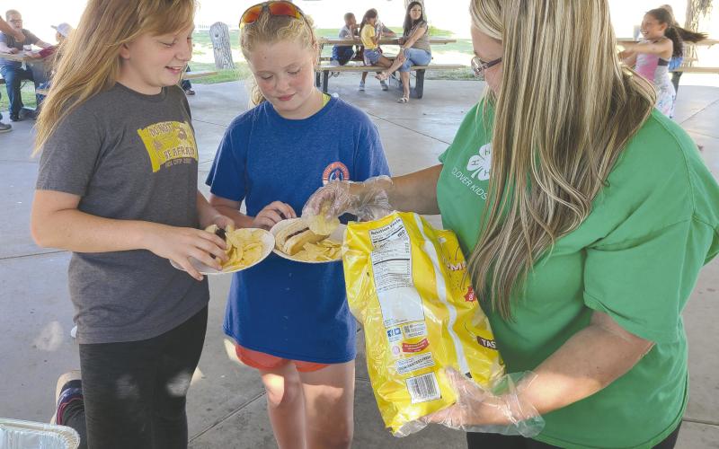 FUN, FOOD, AND 4-H