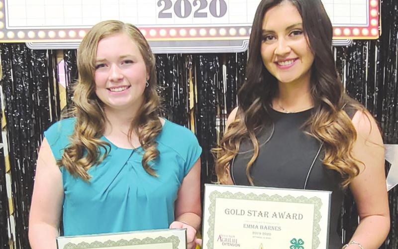 GOLD STAR AWARD WINNERS Ochiltree County 4-H held their annual awards ceremony Monday night at the Expo Center. Winners of the Gold Star Awards, the highest county awards that can be given to a 4-H member, were, from left, Tylar Oquin and Emma Barnes. Oquin and Barnes received a plaque from the county, a pin, and a certificate from the state.