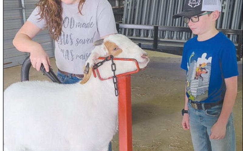 STOCK SHOW PREP