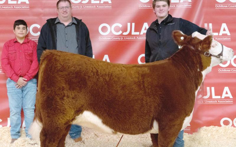 RESERVE GRAND CHAMPION HEIFER
