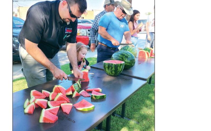 THE WONDERS OF WATERMELONS