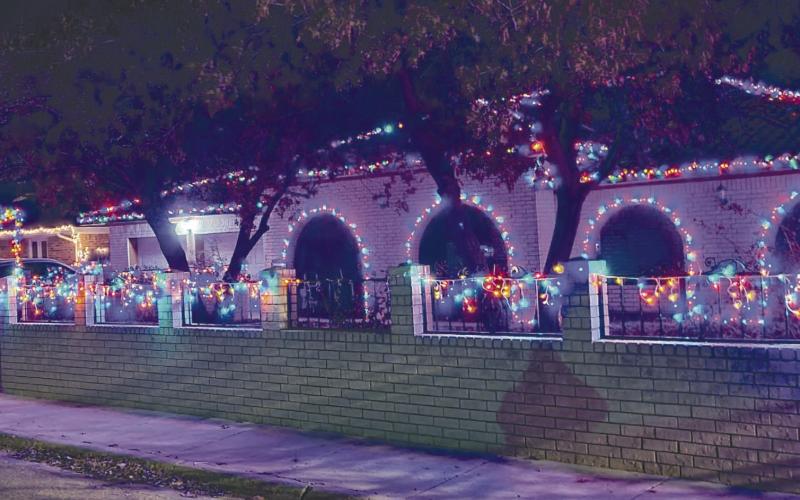 FESTIVE LIGHTS