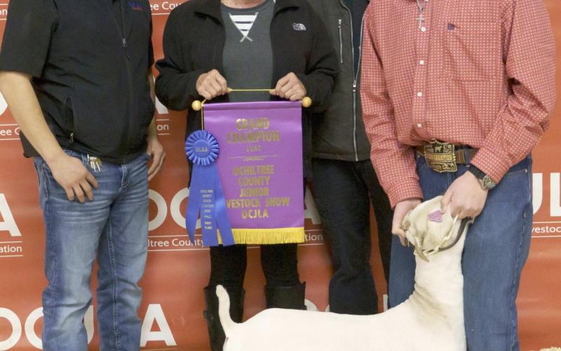 GRAND CHAMPION GOAT