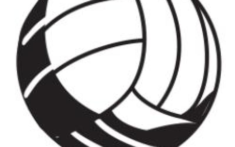 Alt Text for Image