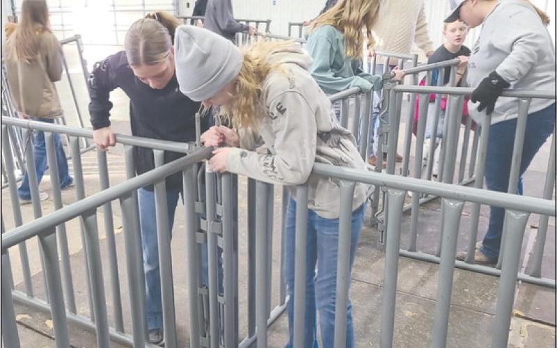Students from 4-H and FFA, along with their parents, headed out to the Ochiltree County Expo Center on Tuesday evening to help get the exhibit hall ready for the 86th annual Ochiltree County Junior Livestock Show and Sale, which is slated for this weekend, Jan. 19-20. Students will be showing more than 100 animals, beginning at 8 a.m. on Friday.