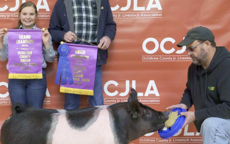 GRAND CHAMPION SWINE