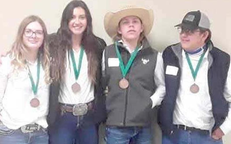 4-H MEMBERS COMPETE AT ROUNDUP