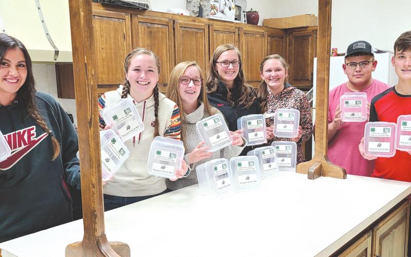 4-H PREPARING DONATION BOXES FOR SNACK PAK