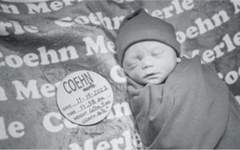 Coehn Merle Anderson