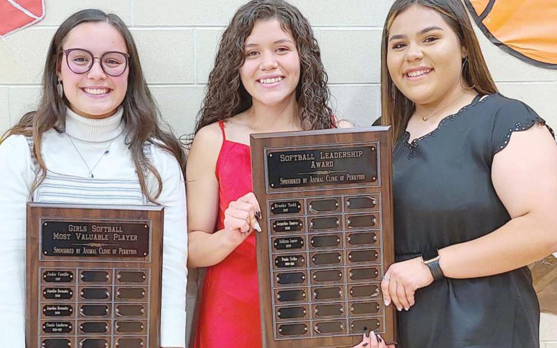 PHS VOLLEYBALL PLAYERS WIN AWARDS