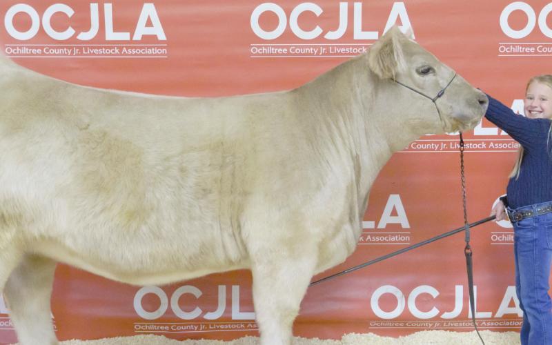GRAND CHAMPION HEIFER
