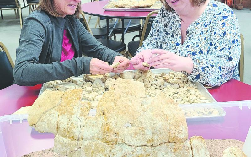 PREHISTORIC JIGSAW PUZZLE