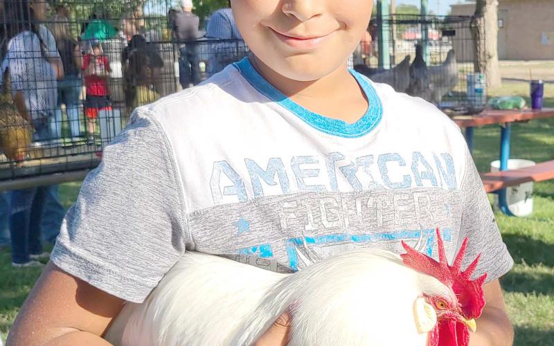 BIRD’S THE WORD— The 2022 Ochiltree Bantam Show was held last Tuesday evening at Leatherman Park as members of Ochiltree County 4-H brought in poultry to exhibit. The show was judged by Russell and Carlet Estlack. Adan Gonzalez, age 10, won Best of Show and Best Rooster for his Bantam White Leghorn, Peter.