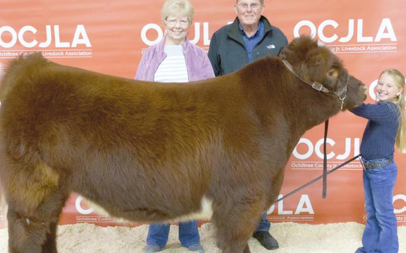RESERVE GRAND CHAMPION STEER