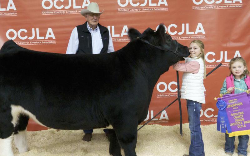 GRAND CHAMPION STEER