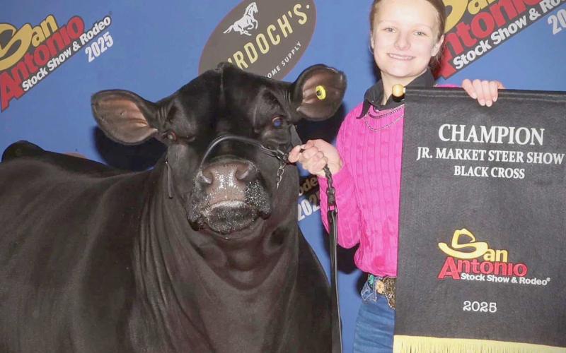 SCHICKEDANZ EARNS AWARD AT SAN ANTONIO LIVESTOCK SHOW— Ochiltree County 4-H member Sydney Schickedanz exhibited the Breed Champion Black Cross Steer at the San Antonio Livestock Show on Feb. 21. There were 120 steers shown in her division and approximately 1,400 steers in the entire show. Schickedanz is the daughter of Jason and Amber Schickedanz.