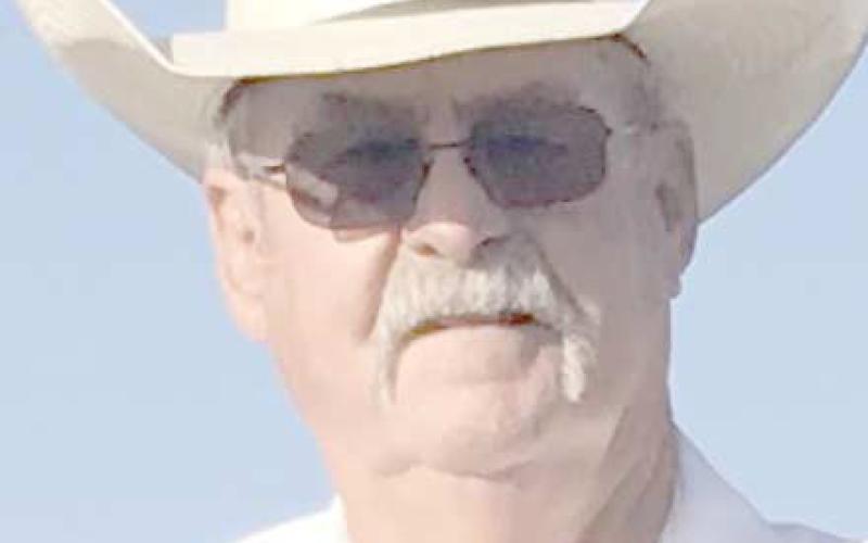 Joe D. Newman