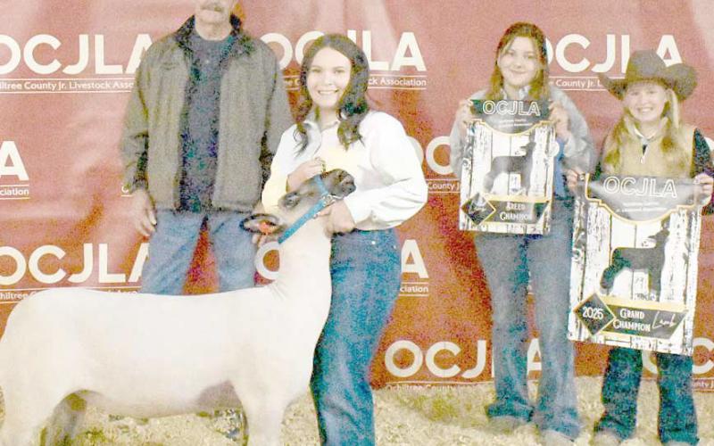 GRAND CHAMPION SHEEP