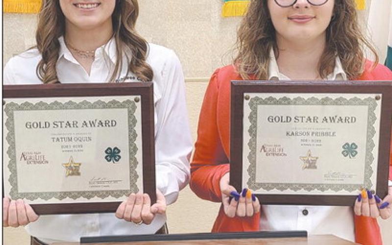 GOLD STAR AWARD WINNERS