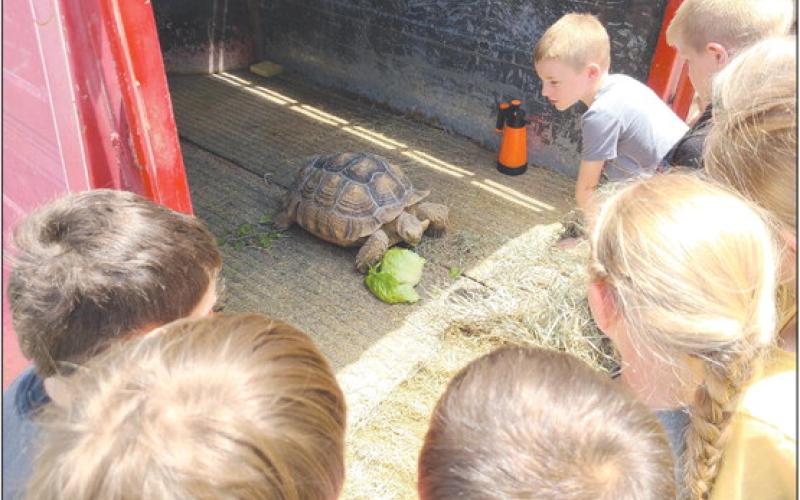 Frank Phillips College Allen Campus, ran the first week of their annual Kids College this week, with lots of activities for kids from ages 5-12. During Farm Camp, kids got to meet interesting animals, including a pair of African spurred tortoises, owned by Dr. Kristina Keeth, a veterinarian from Spearman.