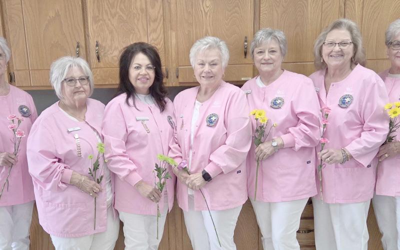 The Ochiltree General Hospital Auxiliary elected new officers at a meeting at the Senior Citizens Center recently. Pictured are, from left, first vice president Kathy Snyder, second vice president Kay Turner, third vice president Susie Estrada, secretary Judy Whitehead, treasurer Jean Pshigoda, gift shop coordinator Pat Bilson, and sunshine lady Phyllis Oquin. Not pictured are president Sharon Jenkins, gift shop coordinator Dorothy Campbell, and sunshine lady Debbie Willeford.