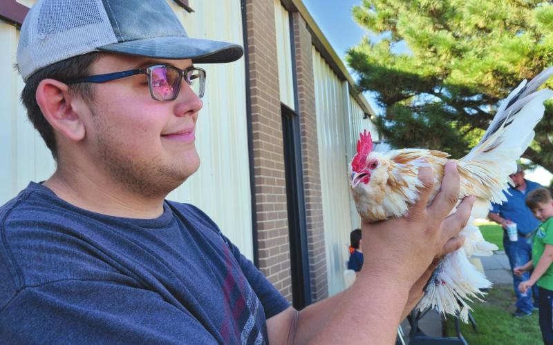 SHOWCASING EGG-CELLENCE