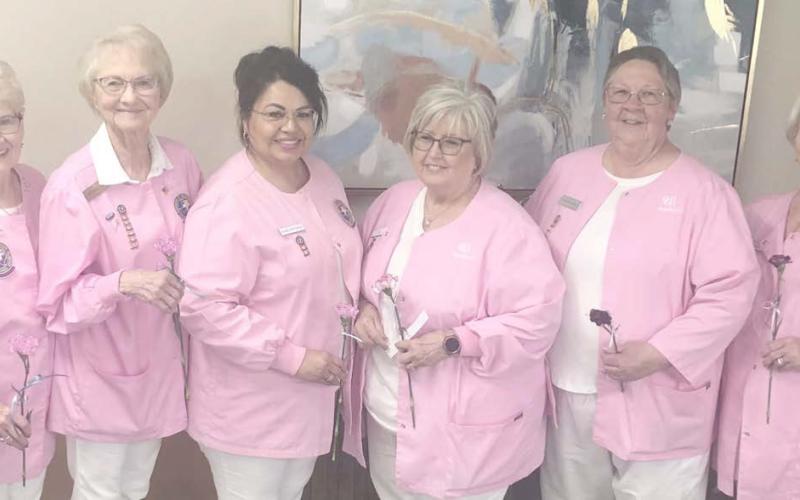 PINK LADIES ELECT OFFICERS— The Ochiltree General Hospital Auxilliary elected new officers at their meeting at the Senior Citizens Center on April 1. Pictured are, from left, treasurer Janell Cochran, secretary Kathy Allred, third vice president Susie Estrada, second vice president Kay Turner, first vice president Sharon Jenkins, and president Ethel Rudd.