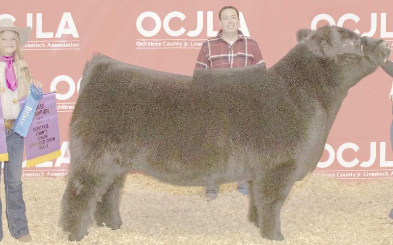 GRAND CHAMPION STEER