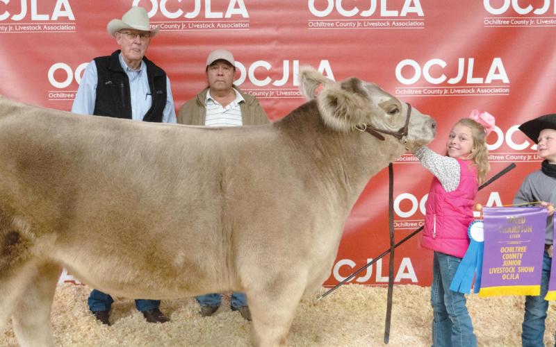 WRIGHT TAKES PRIZE FOR GRAND CHAMPION STEER