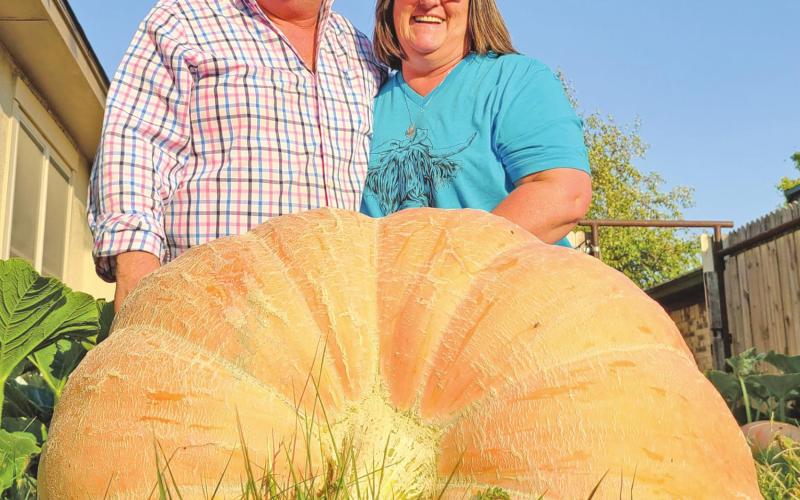 PROUD PUMPKIN PARENTS